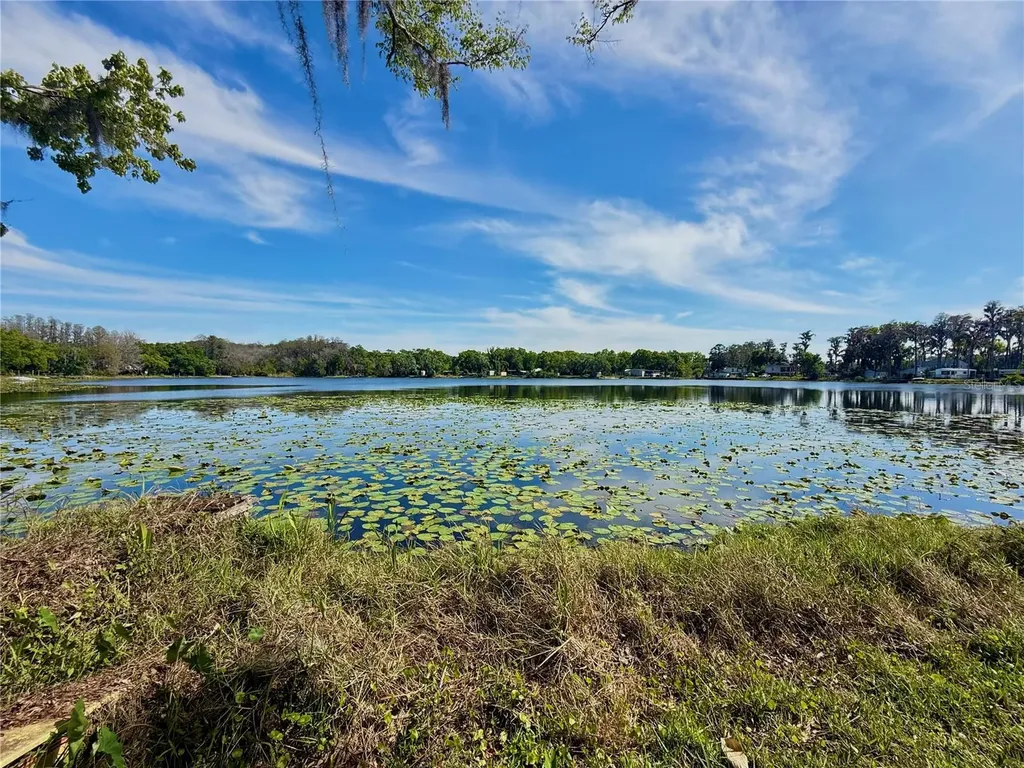 14618 Geneva Drive Odessa FL 33556