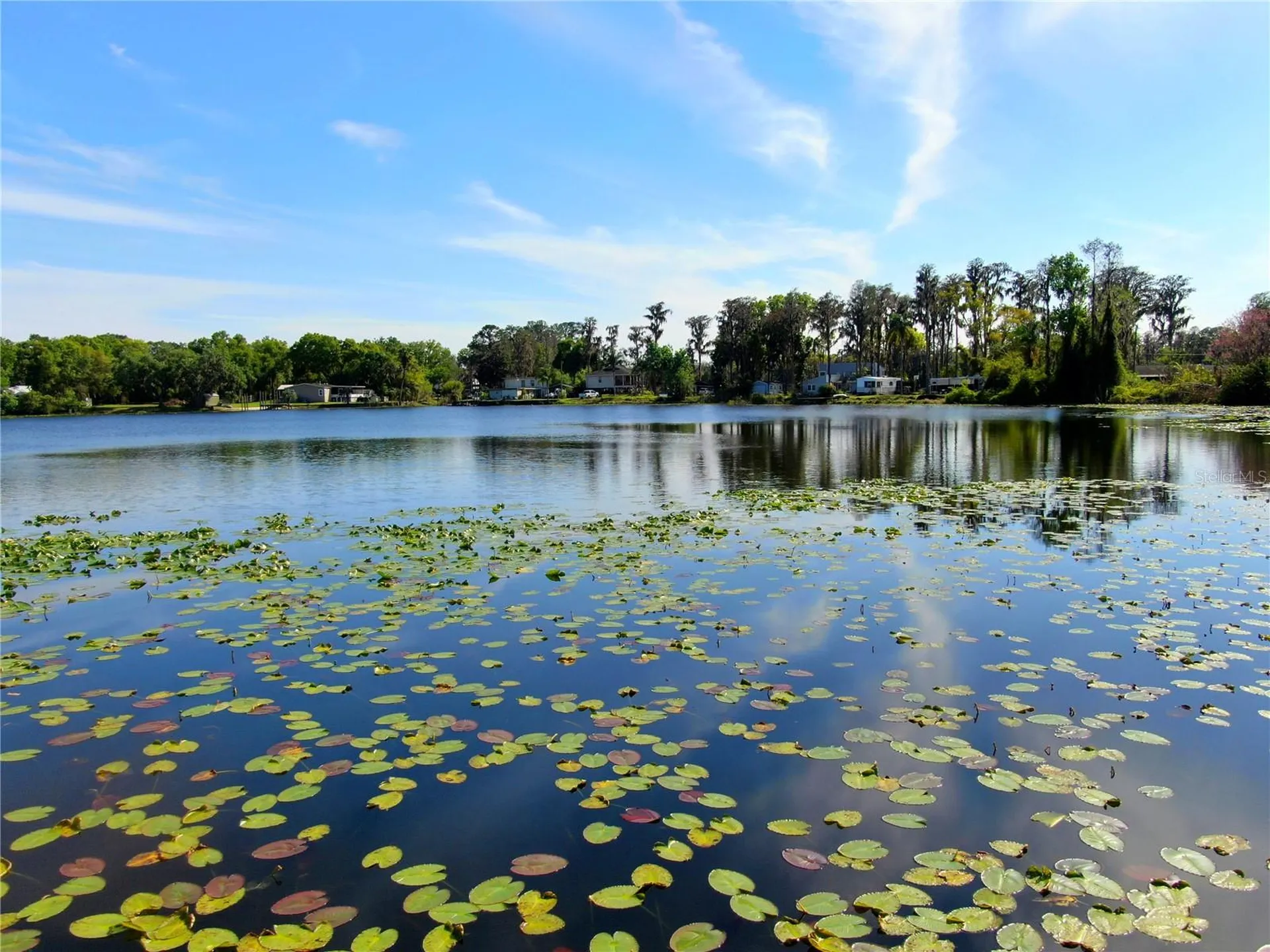 14618 Geneva Drive Odessa FL 33556