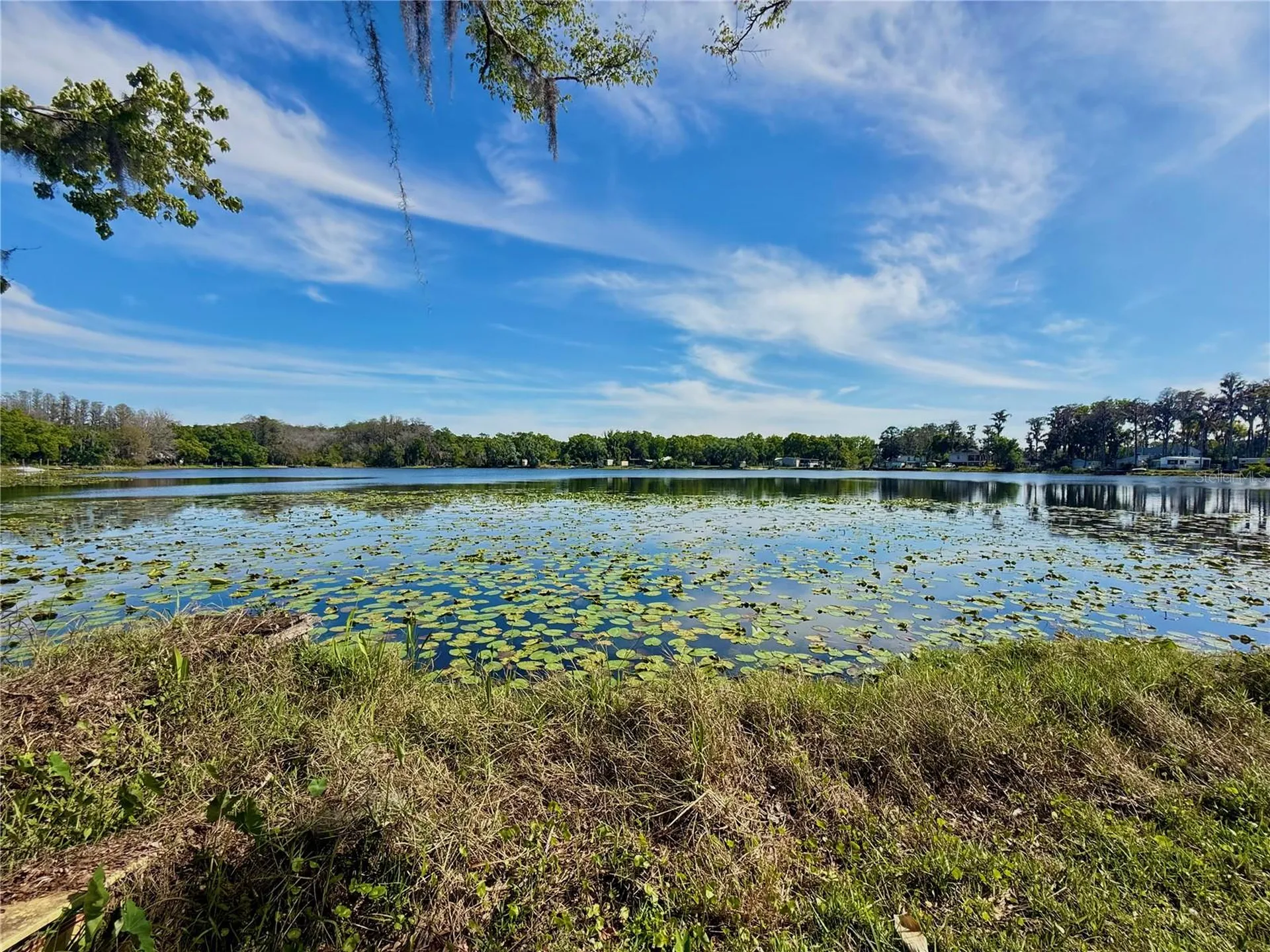 14618 Geneva Drive Odessa FL 33556