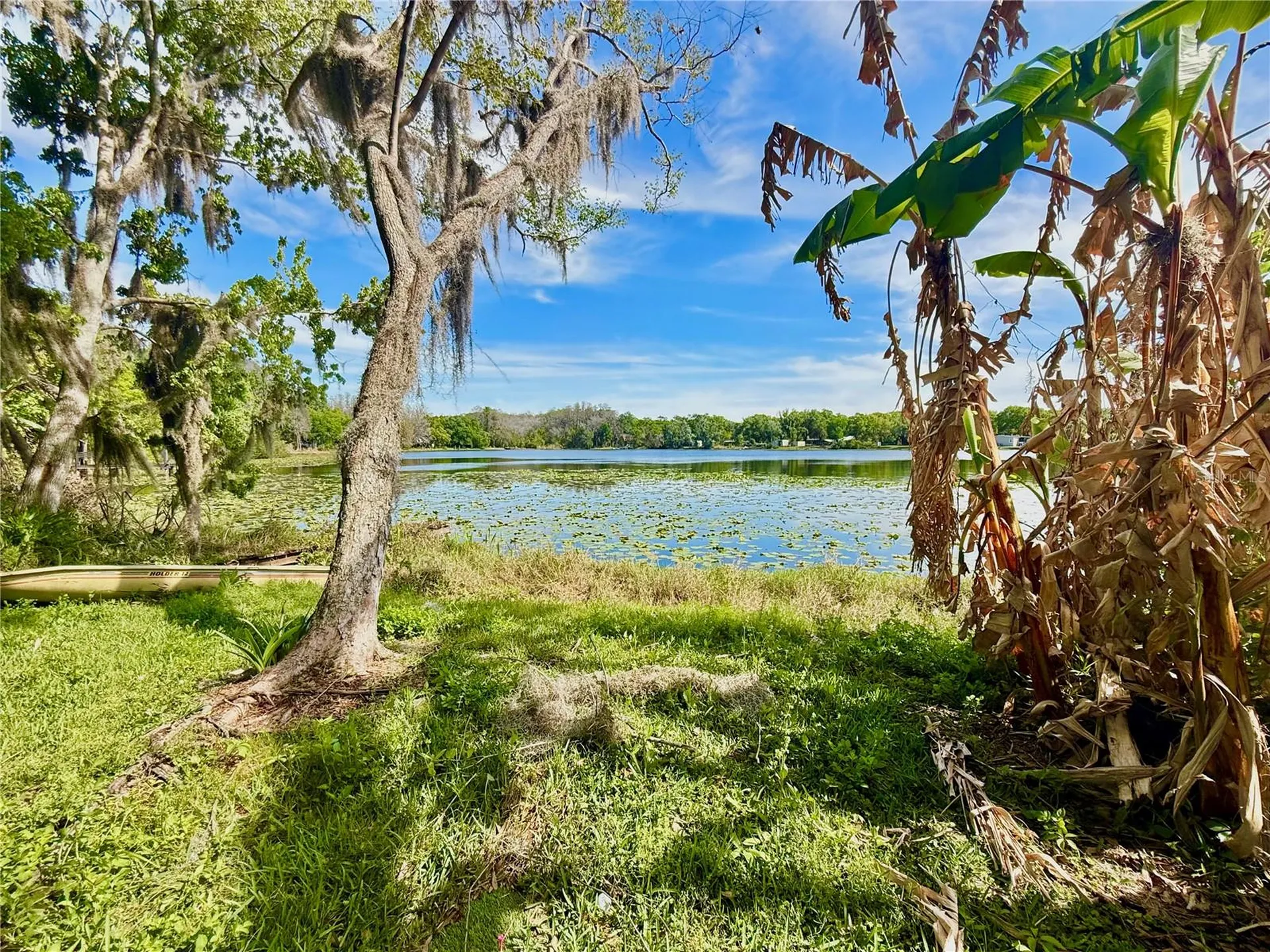 14618 Geneva Drive Odessa FL 33556