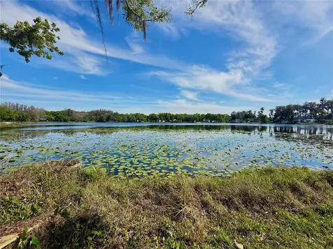 14618 Geneva Drive Odessa FL 33556