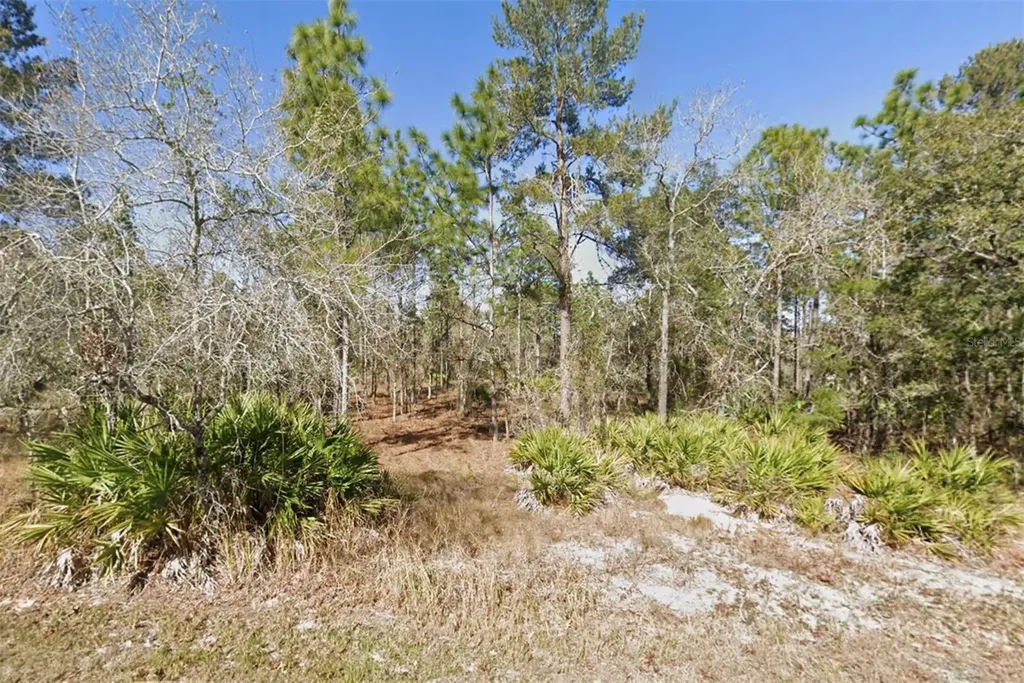 11323 Furley Avenue Weeki Wachee FL 34613