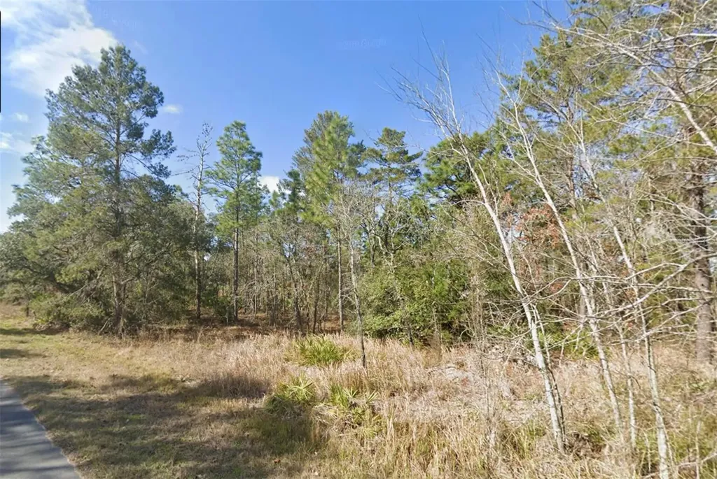 11323 Furley Avenue Weeki Wachee FL 34613
