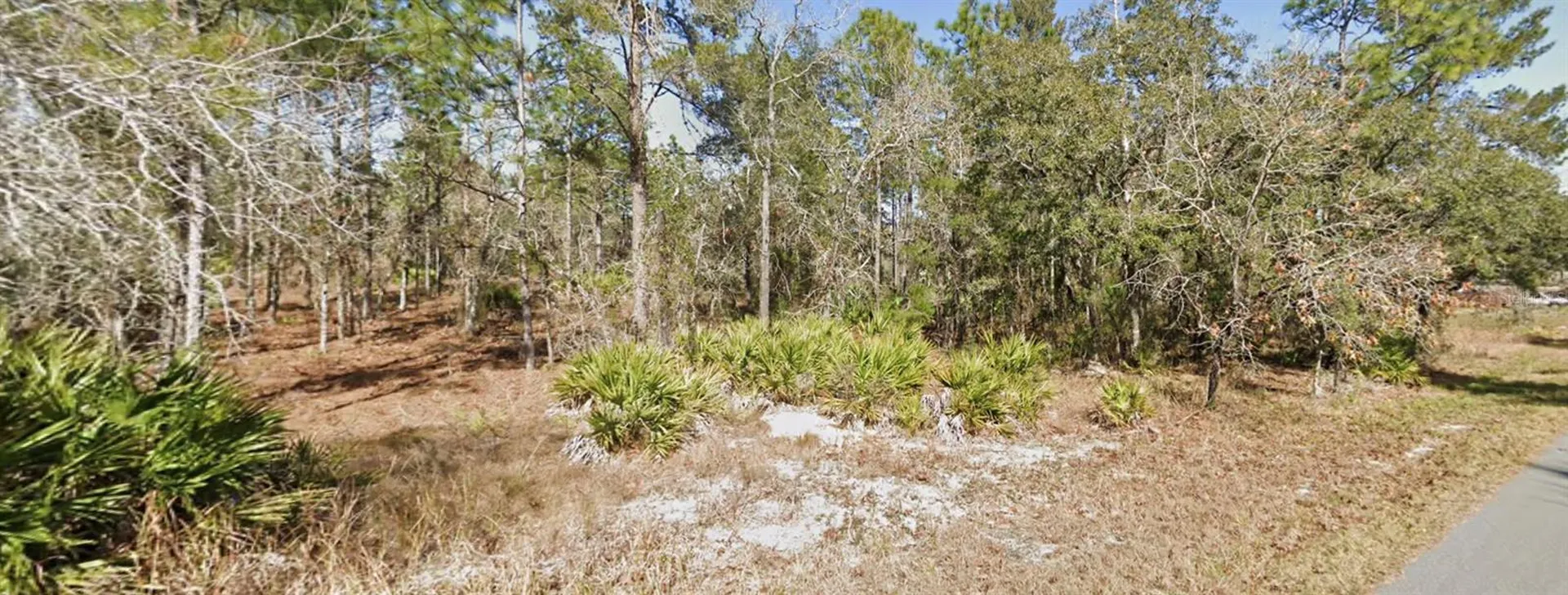 11323 Furley Avenue Weeki Wachee FL 34613