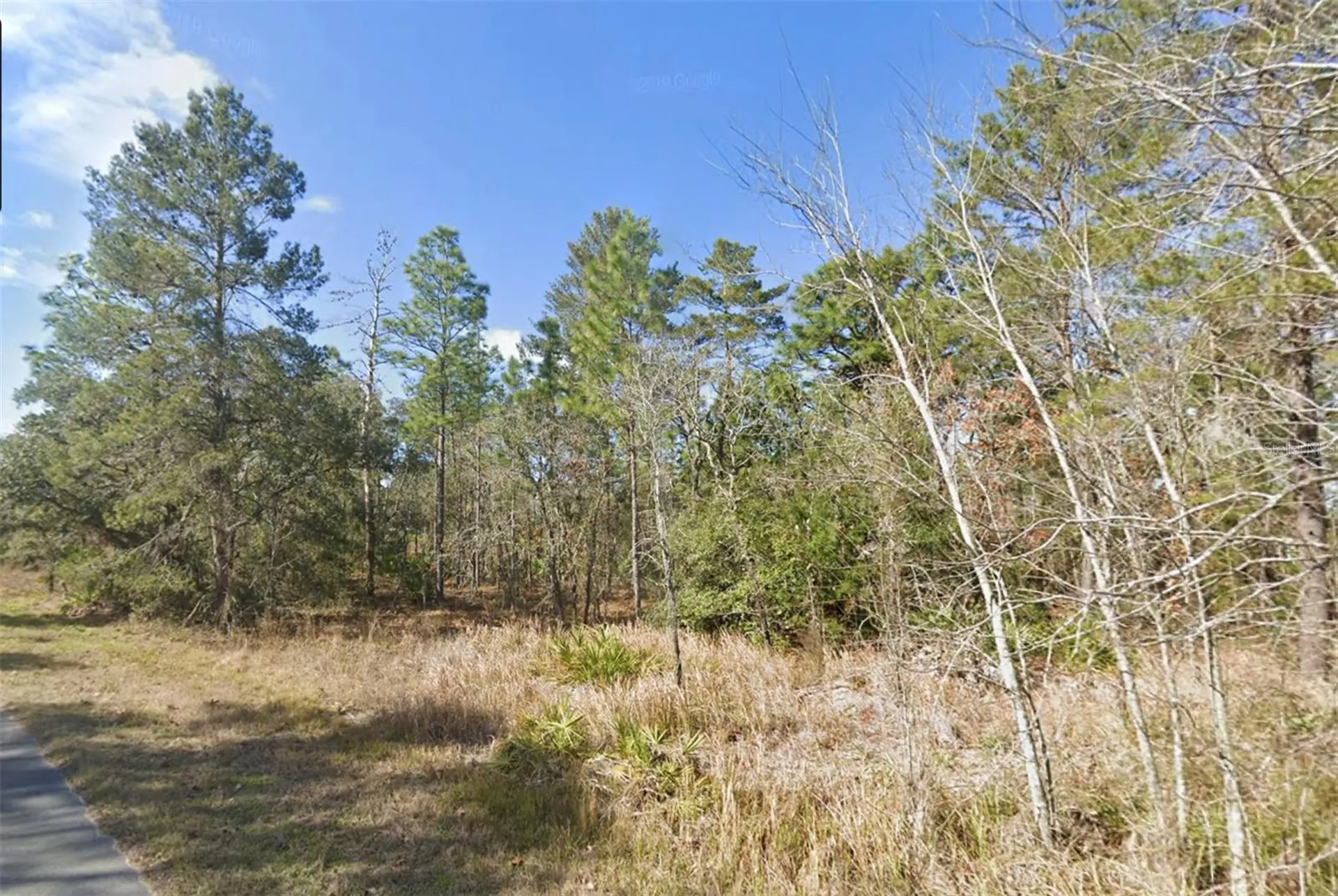 11323 Furley Avenue Weeki Wachee FL 34613