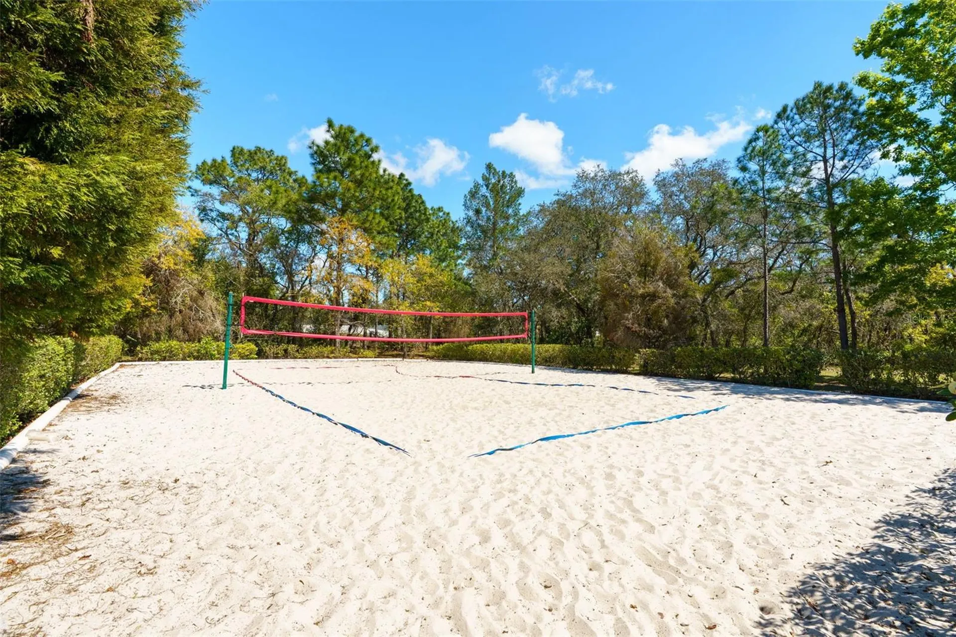 13454 Golden Lime Avenue Spring Hill FL 34609
