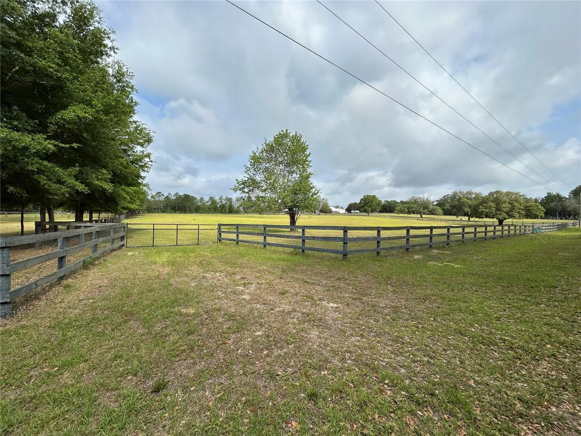 4580 NE 138th Terrace Williston FL 32696