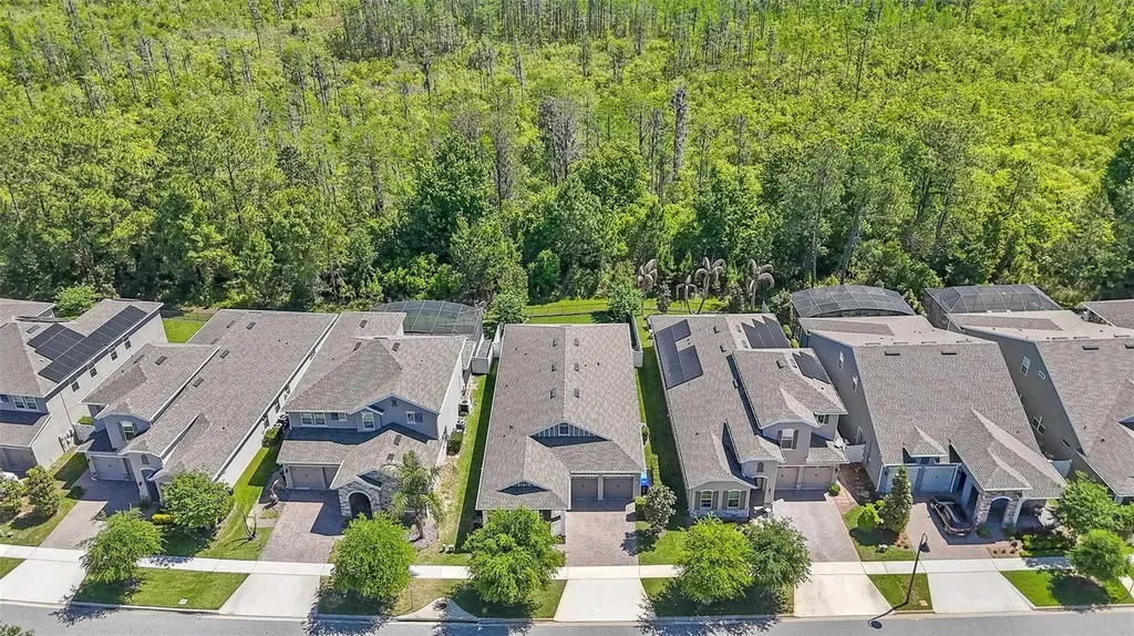 10705 Petrillo Way Winter Garden FL 34787