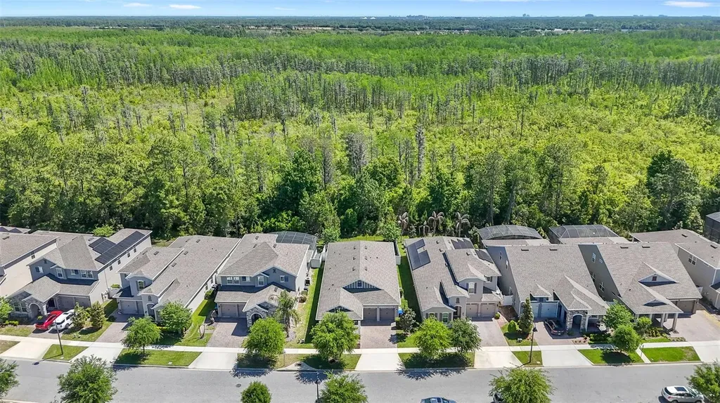 10705 Petrillo Way Winter Garden FL 34787