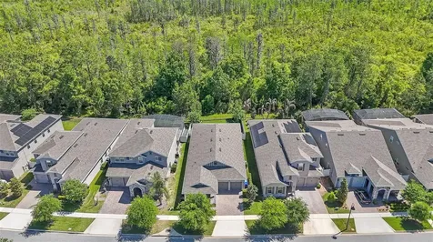 10705 Petrillo Way Winter Garden FL 34787