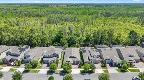 10705 Petrillo Way Winter Garden FL 34787