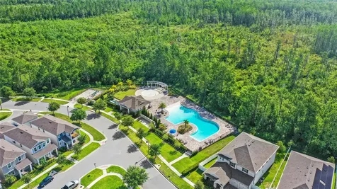 10705 Petrillo Way Winter Garden FL 34787