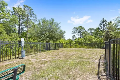 10705 Petrillo Way Winter Garden FL 34787