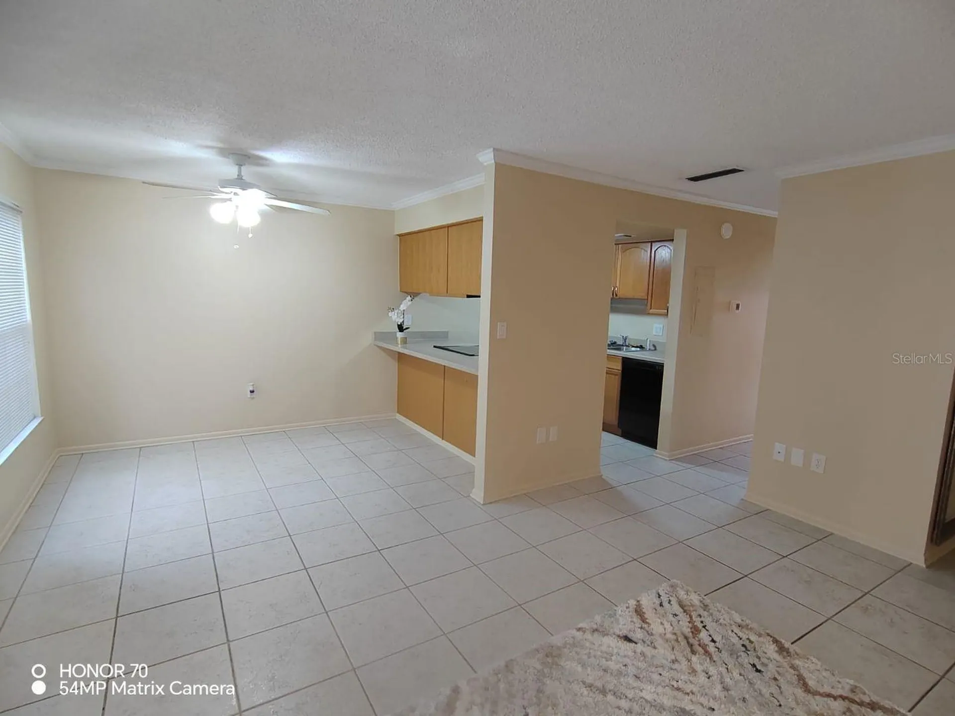 1044 82nd Terrace N St Petersburg FL 33702