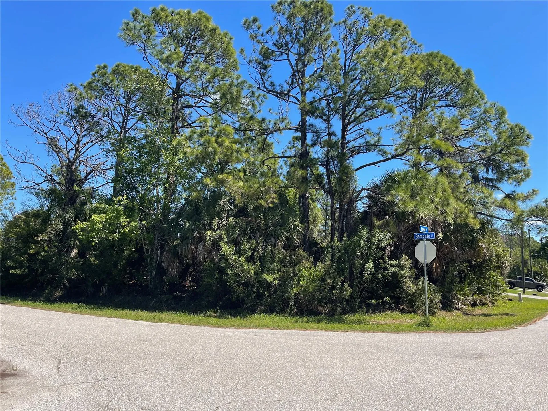 Lot 6 Bamonte Street North Port FL 34286