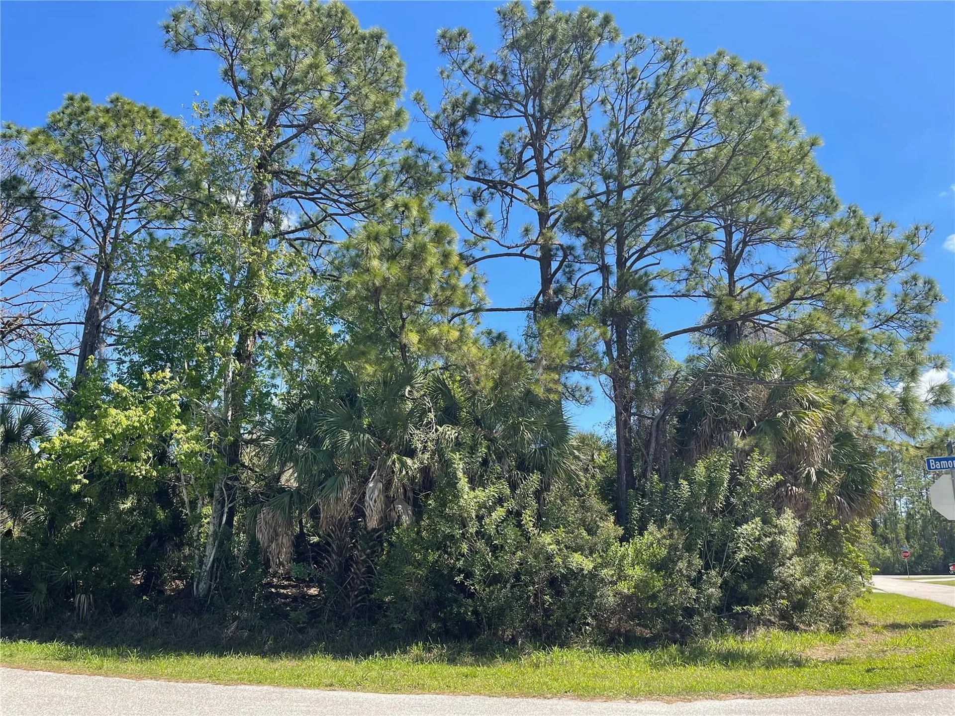 Lot 6 Bamonte Street North Port FL 34286