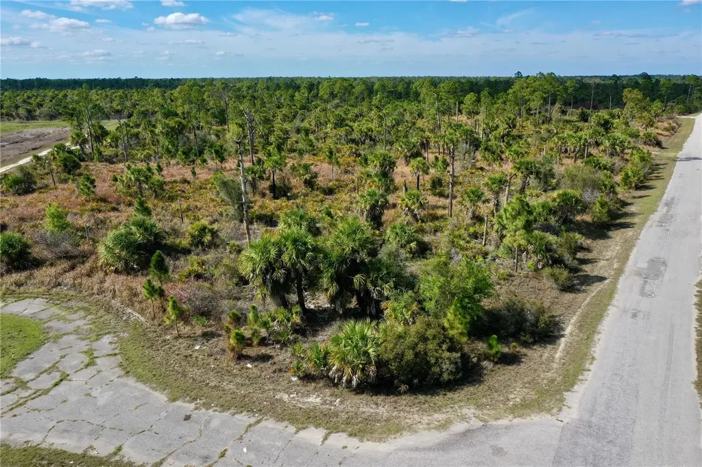 Wild Court North Port FL 34288