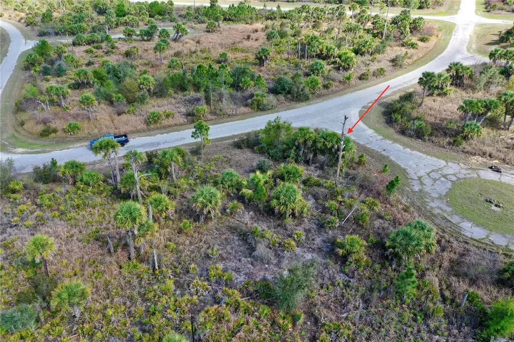 Wild Court North Port FL 34288