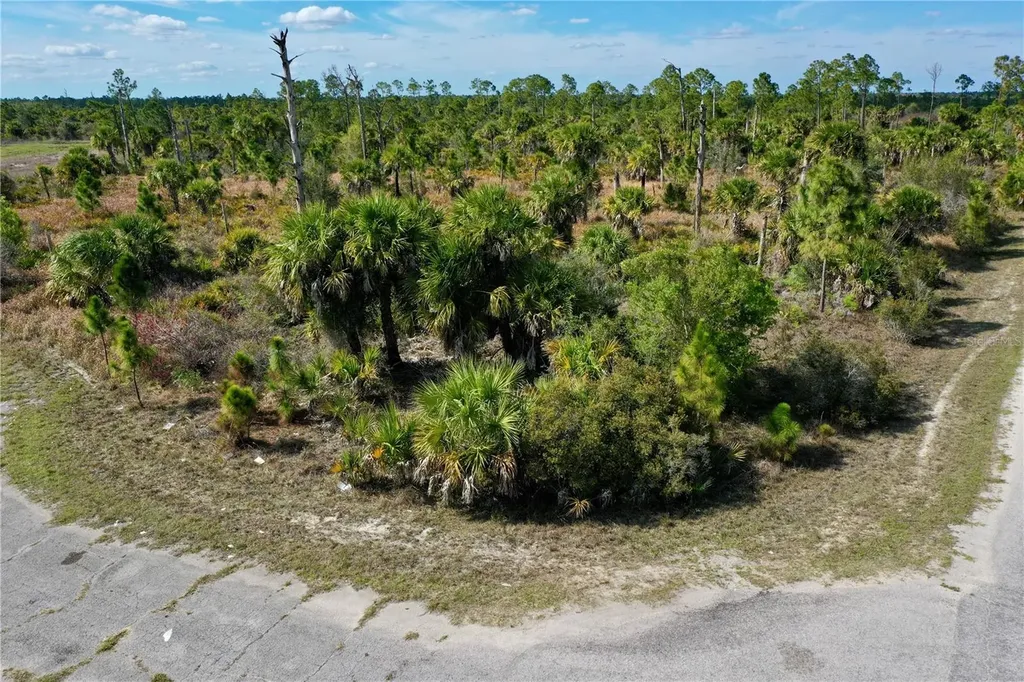 Wild Court North Port FL 34288