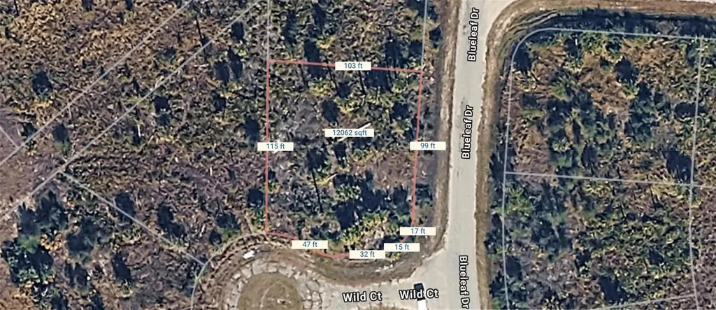 Wild Court North Port FL 34288