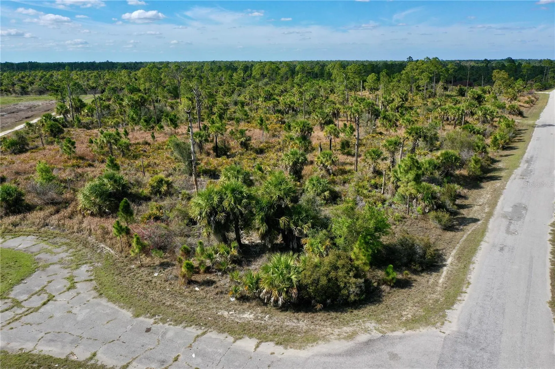 Wild Court North Port FL 34288