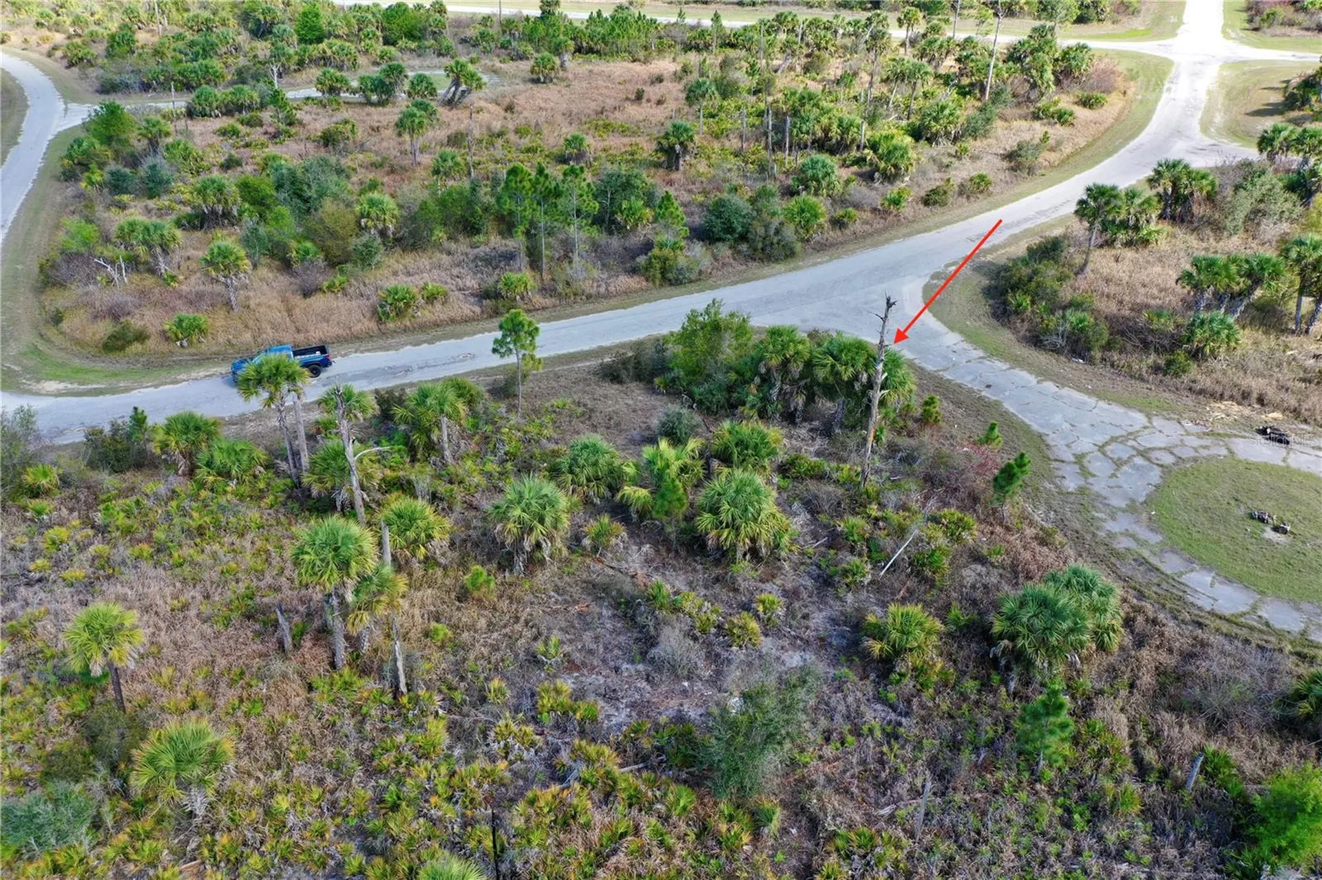 Wild Court North Port FL 34288