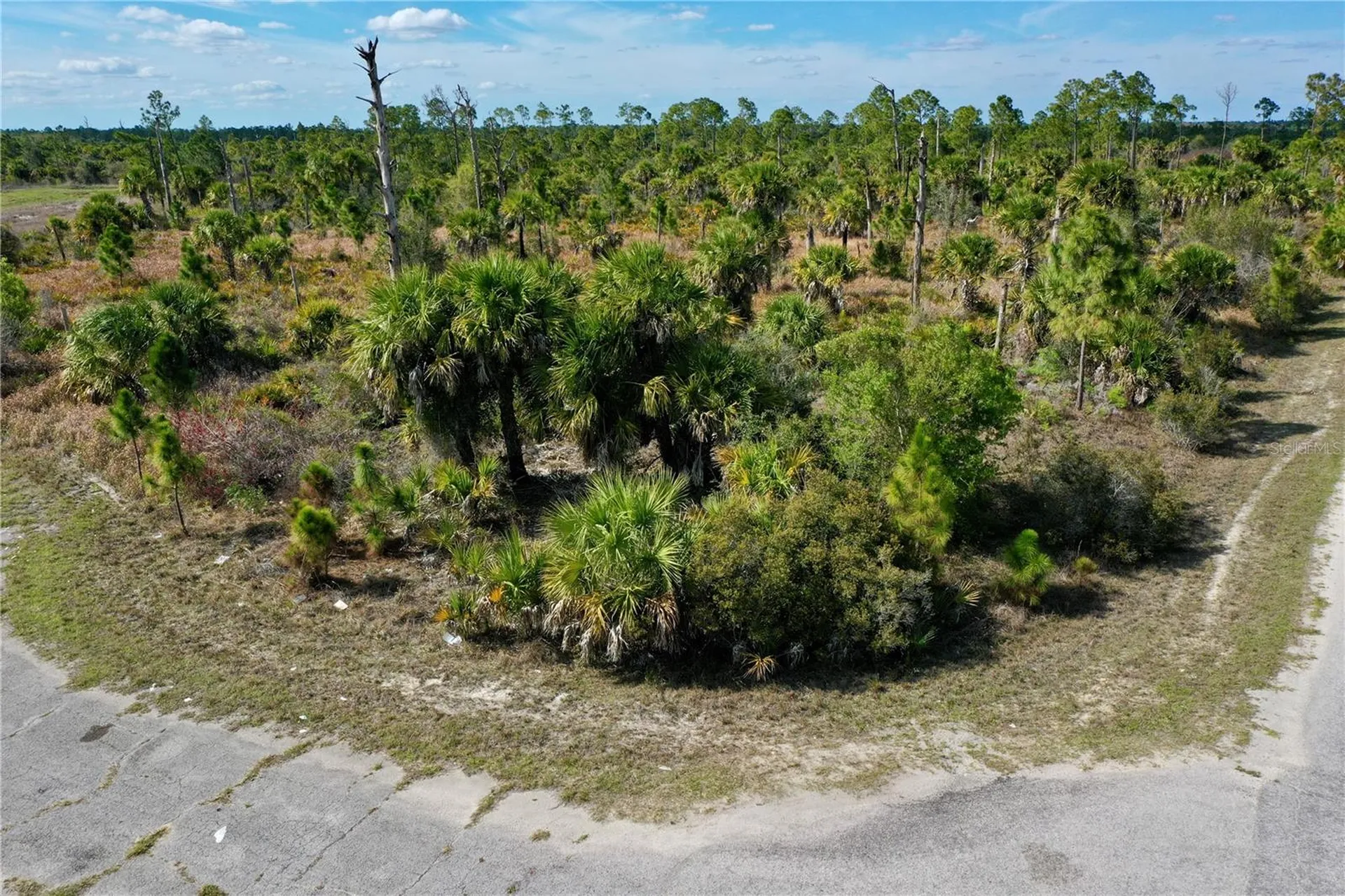 Wild Court North Port FL 34288
