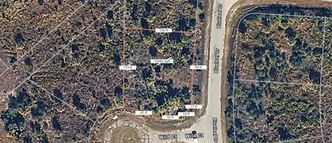 Wild Court North Port FL 34288
