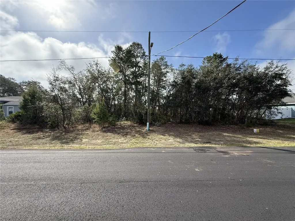 214 Elm Court Poinciana FL 34759