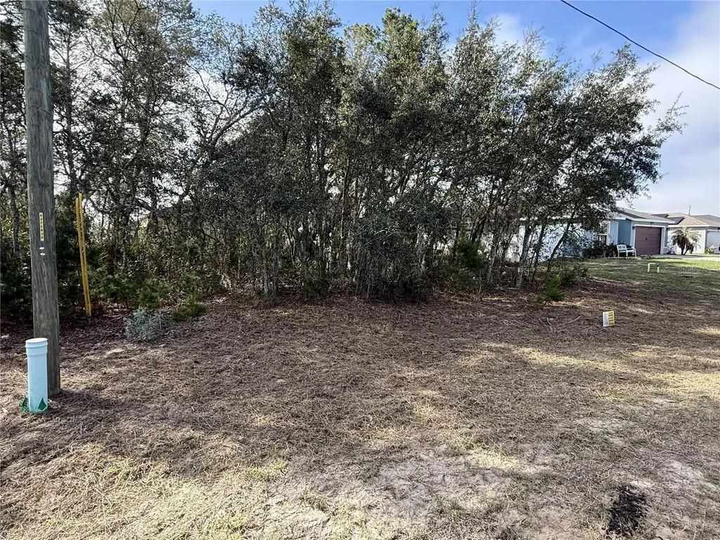 214 Elm Court Poinciana FL 34759