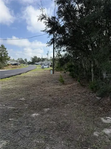 214 Elm Court Poinciana FL 34759