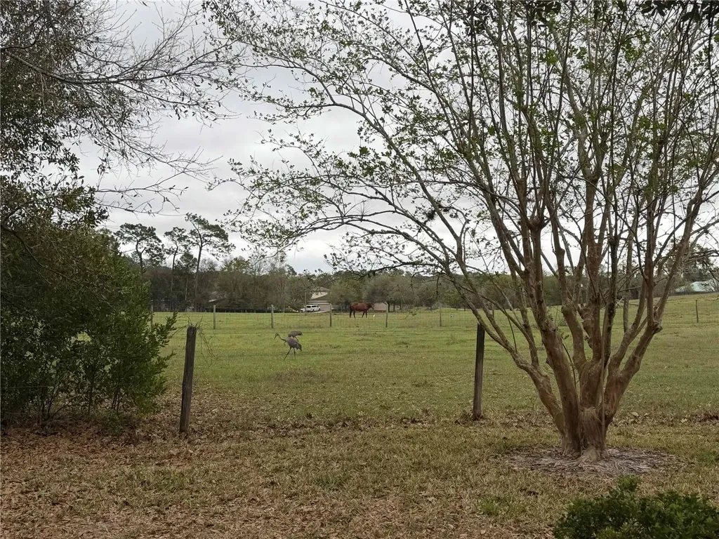 2535 S Glen Eagles Drive Deland FL 32724