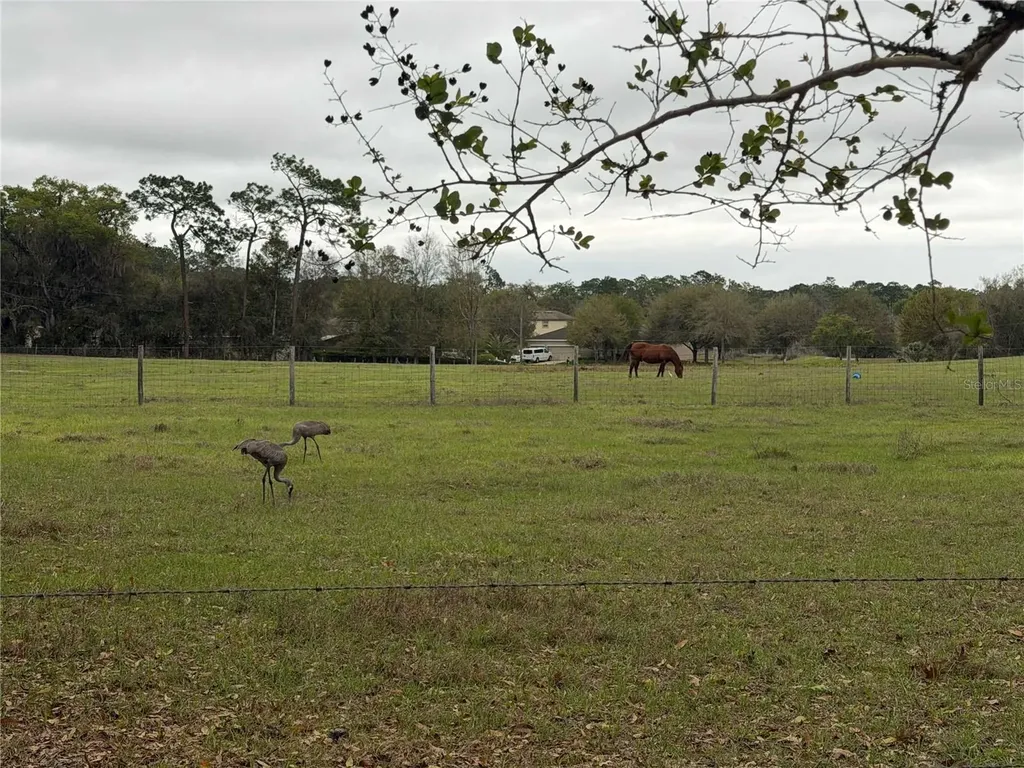 2535 S Glen Eagles Drive Deland FL 32724