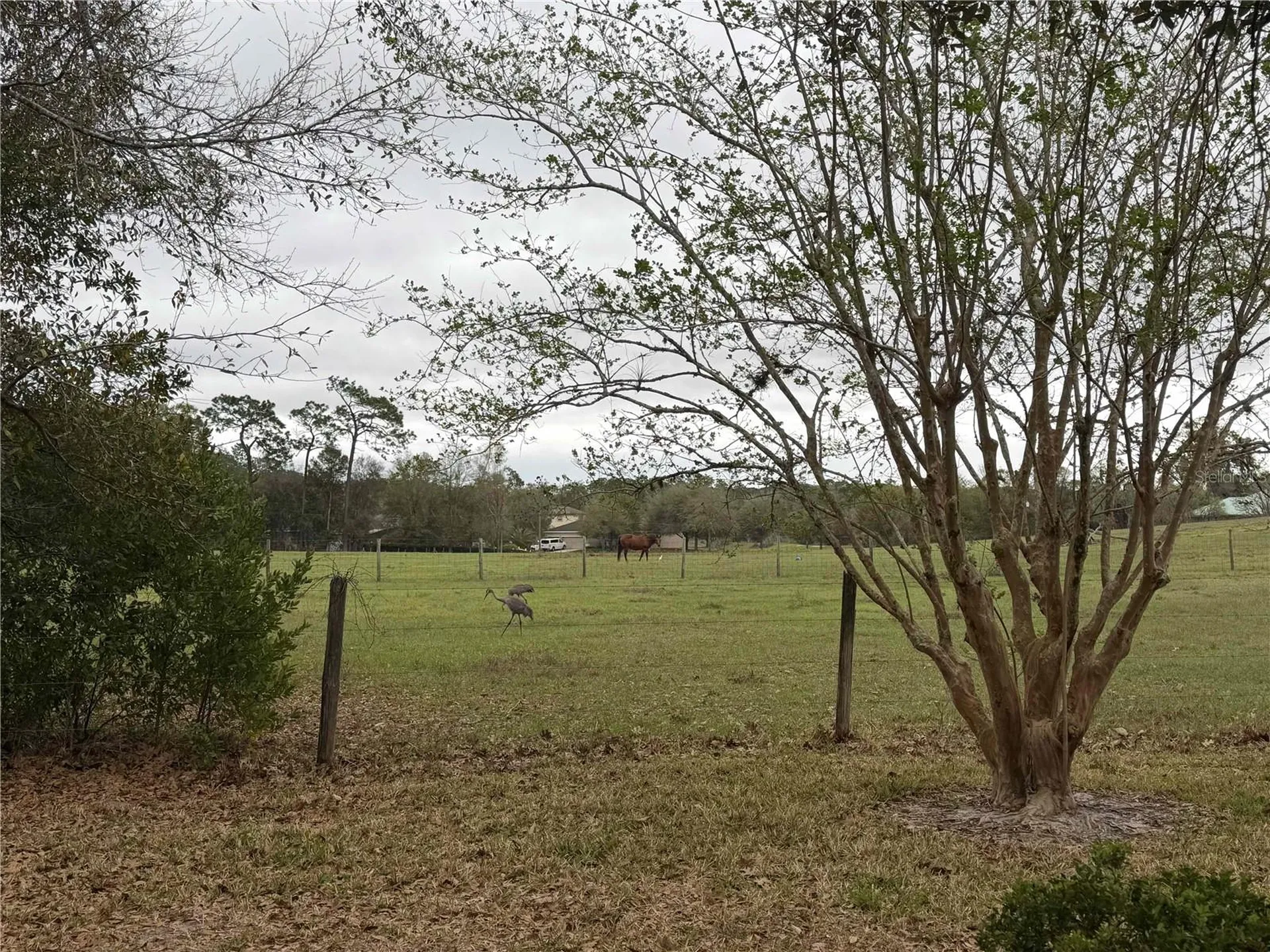 2535 S Glen Eagles Drive Deland FL 32724