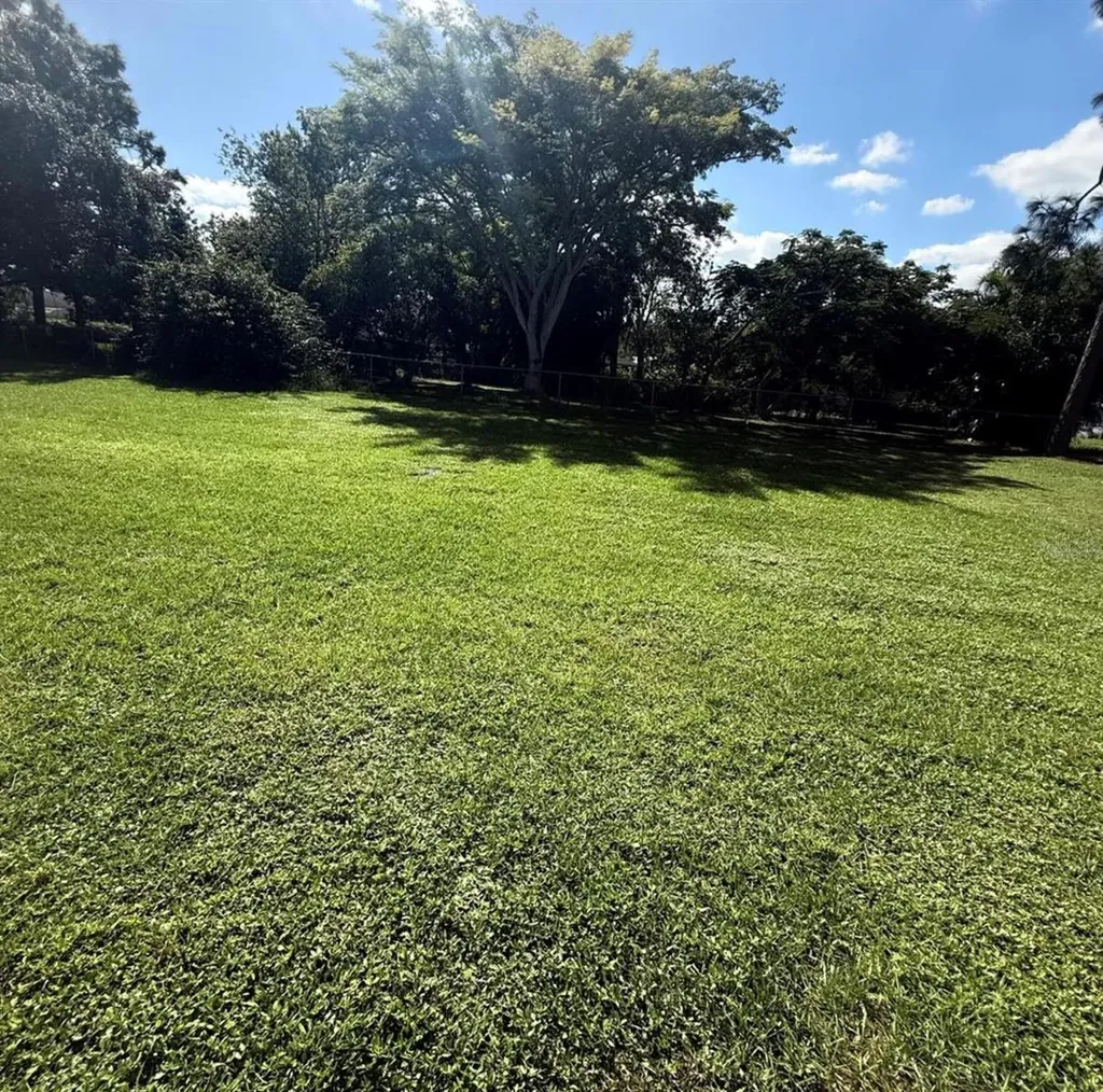 1048 Newbern Street NE Palm Bay FL 32905