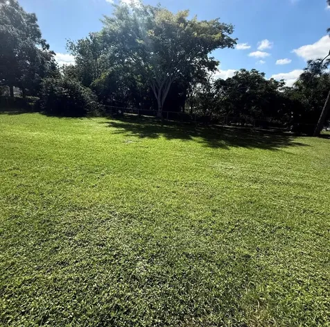 1048 Newbern Street NE Palm Bay FL 32905