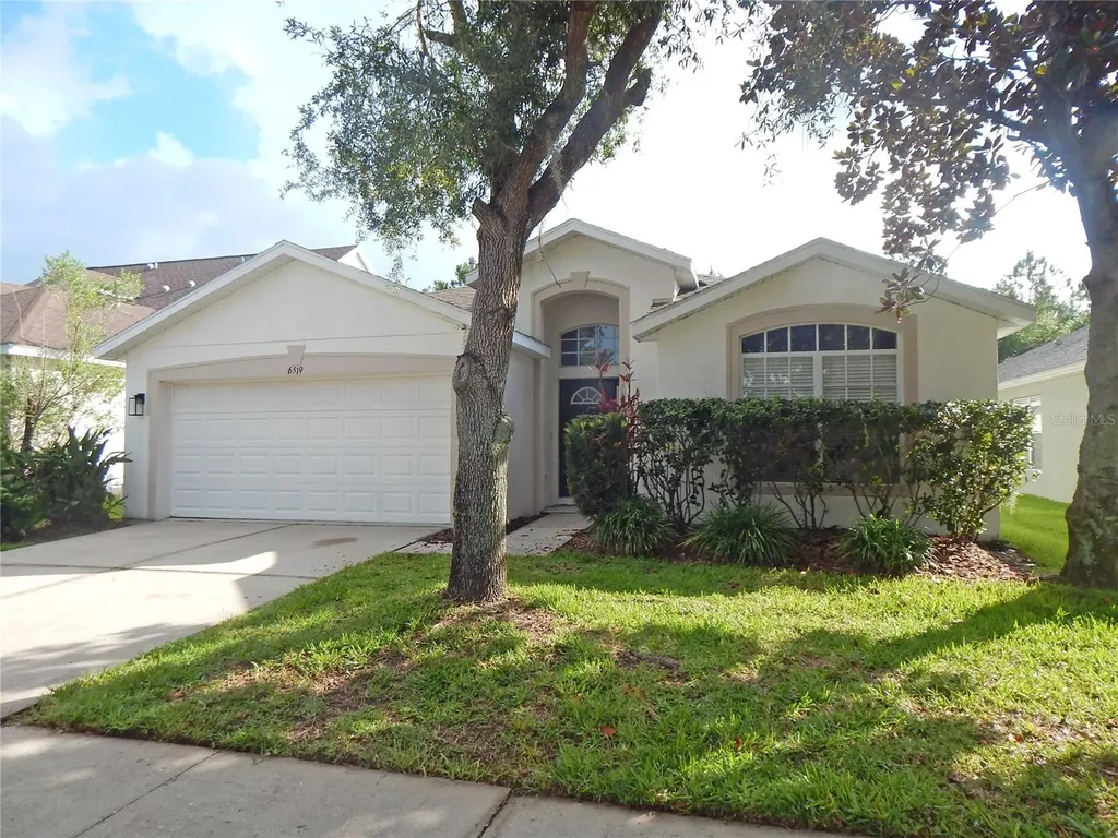6519 Bridgecrest Drive Lithia FL 33547