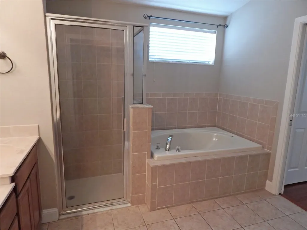 6519 Bridgecrest Drive Lithia FL 33547