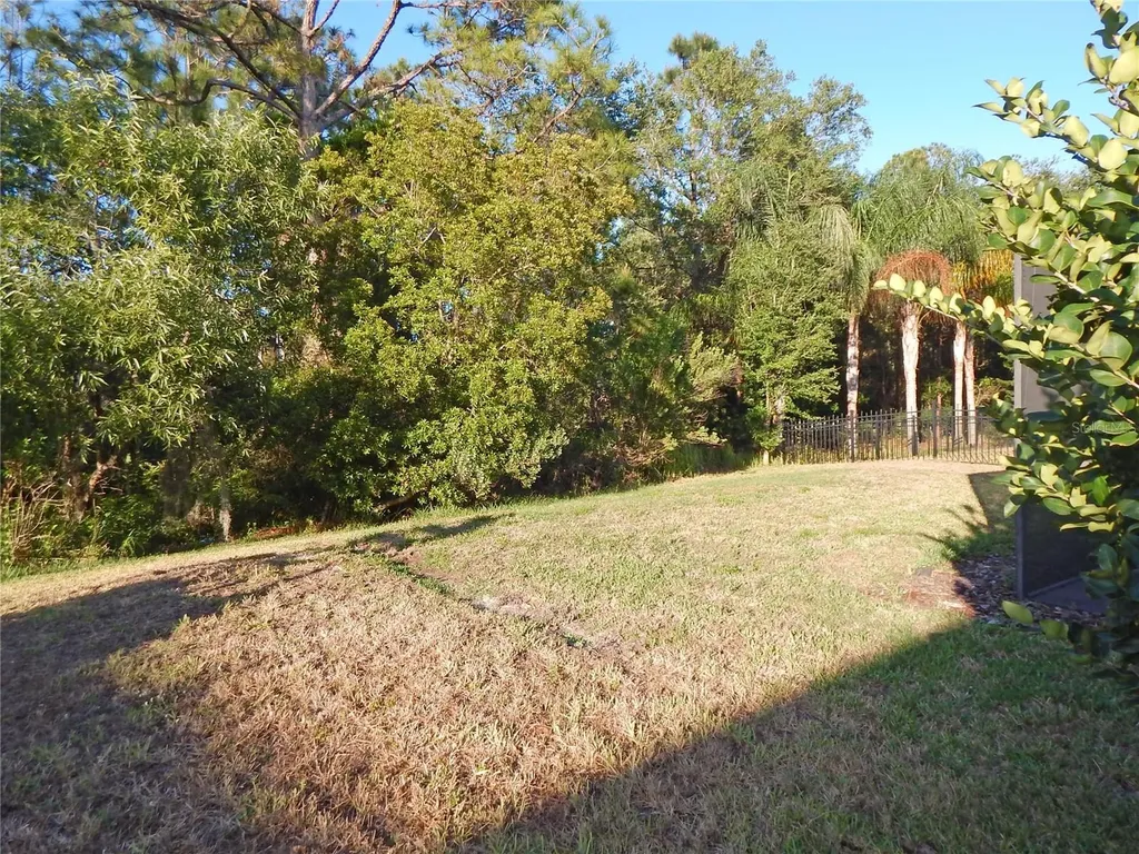 6519 Bridgecrest Drive Lithia FL 33547