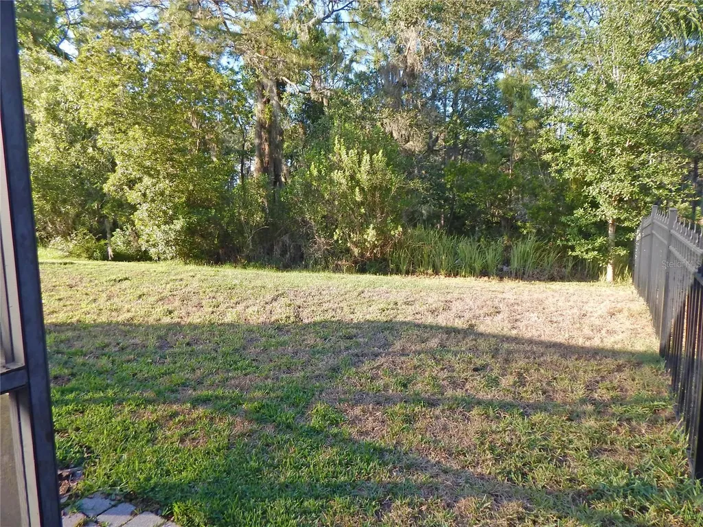 6519 Bridgecrest Drive Lithia FL 33547