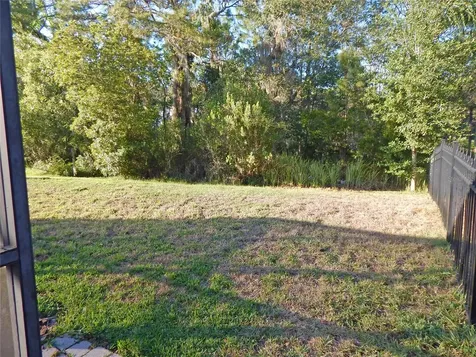 6519 Bridgecrest Drive Lithia FL 33547