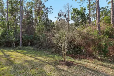 544 Enrede Lane St Augustine FL 32092
