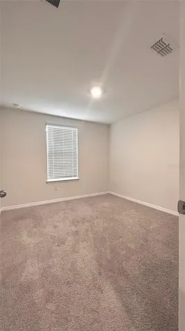 11032 Great Rock Street Winter Garden FL 34787