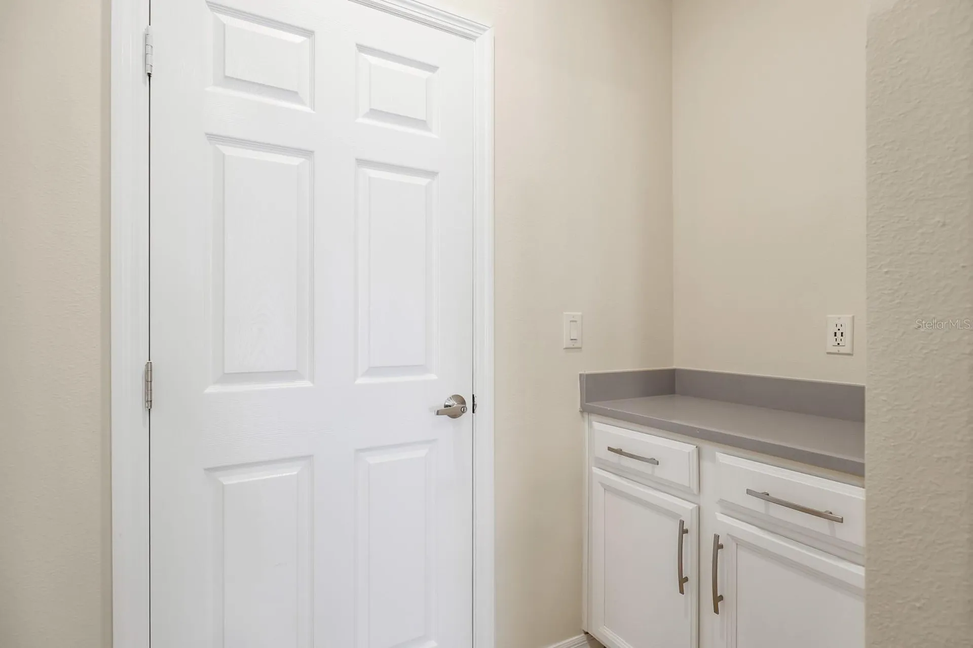 13441 Palmera Vista Drive Riverview FL 33579