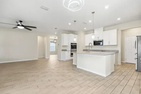13441 Palmera Vista Drive Riverview FL 33579