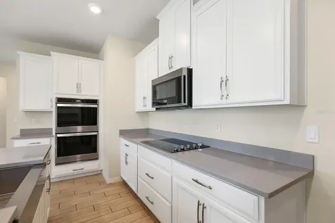 13441 Palmera Vista Drive Riverview FL 33579