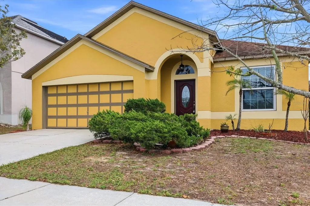 919 Grand Canyon Drive Valrico FL 33594