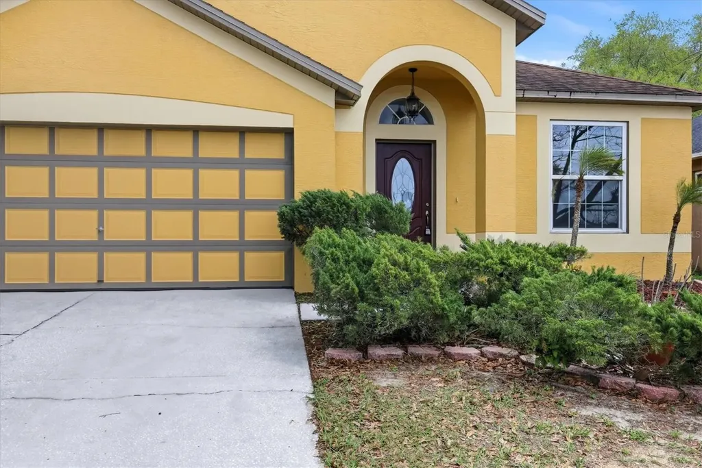919 Grand Canyon Drive Valrico FL 33594