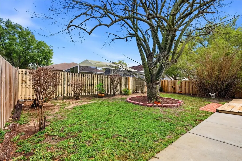 919 Grand Canyon Drive Valrico FL 33594