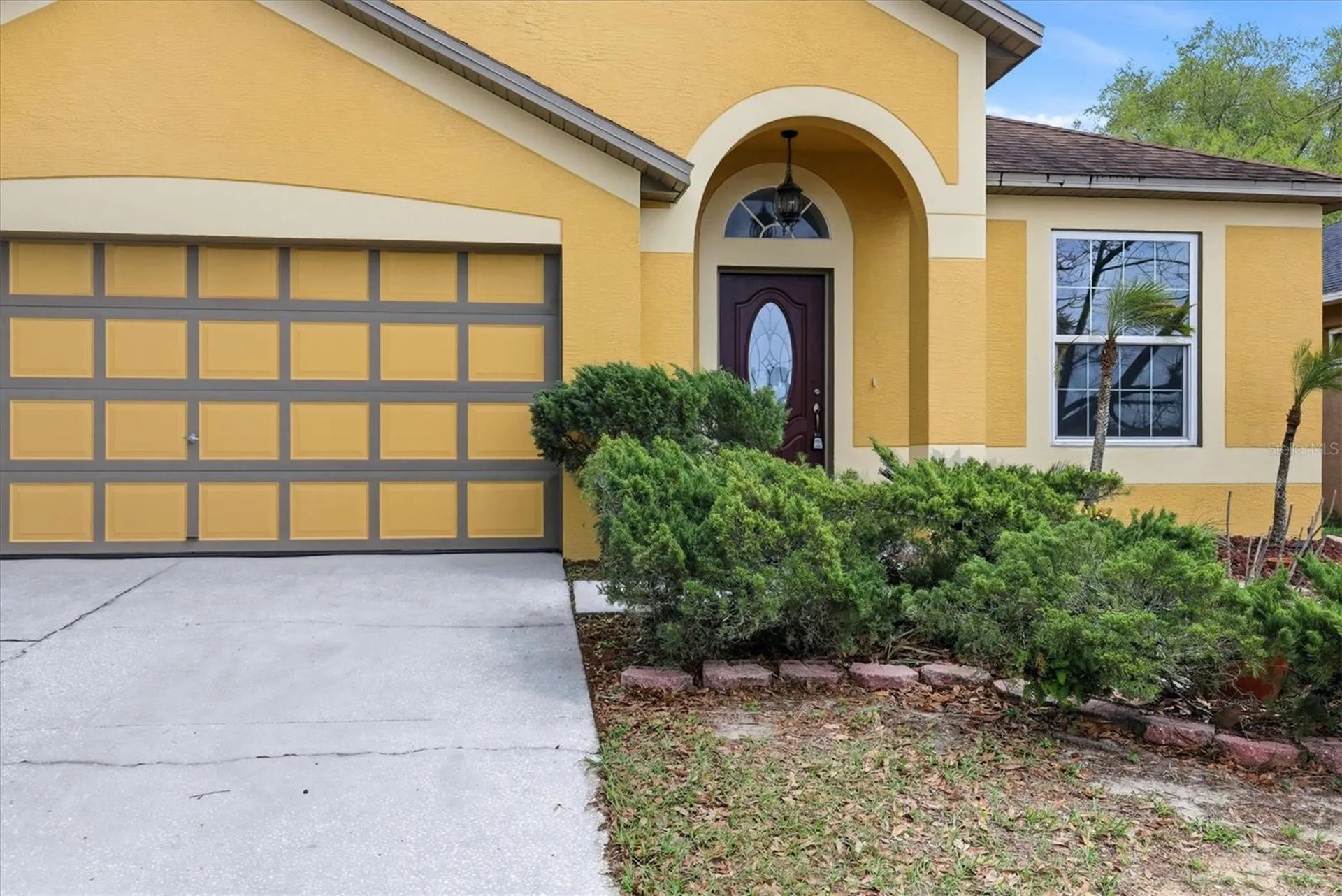 919 Grand Canyon Drive Valrico FL 33594